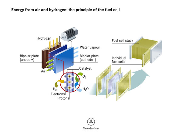 Mercedes-Benz F600 Hygenius