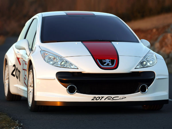 Peugeot 207 RCup Concept