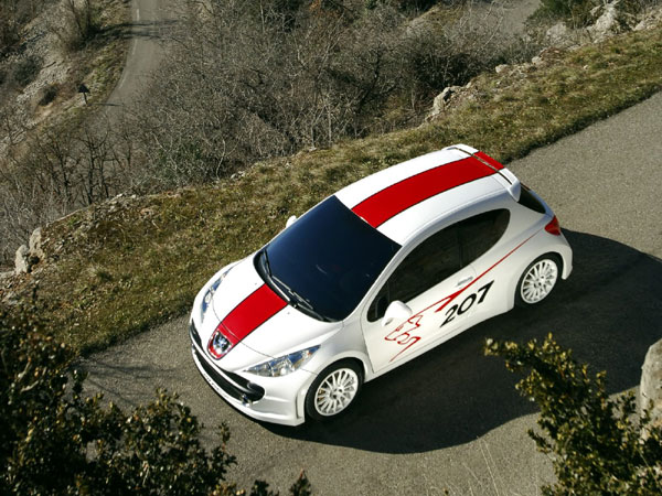 Peugeot 207 RCup Concept