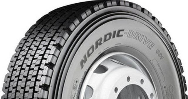     Bridgestone NORDIC-DRIVE 001